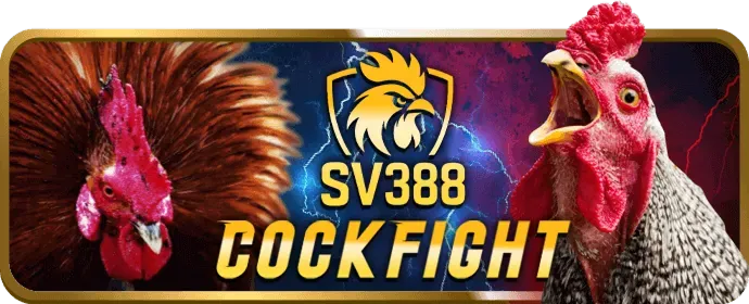 Các loại hình cá cược và quy tắc công bằng tại loto188 bet